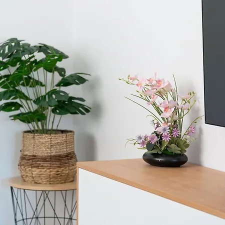 Βίλα Senka - Four Bedroom *