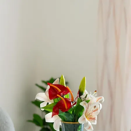 Senka - Four Bedroom Rogotin